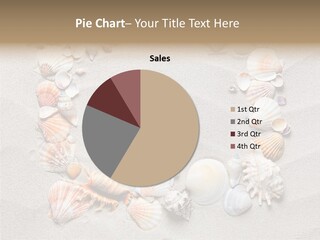 Sandy Abstract Shell PowerPoint Template