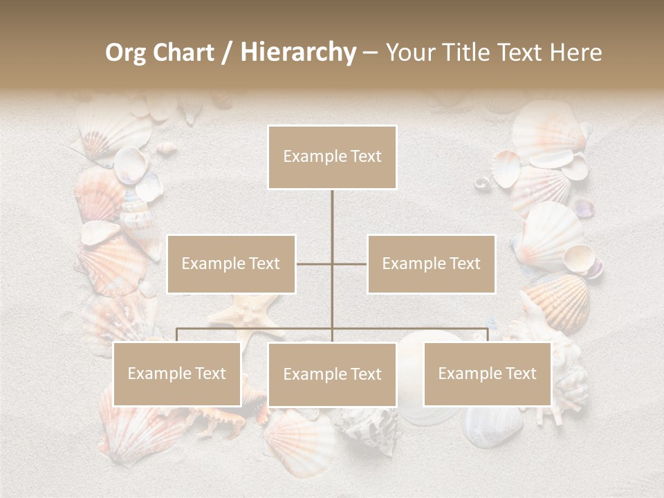 Sandy Abstract Shell PowerPoint Template