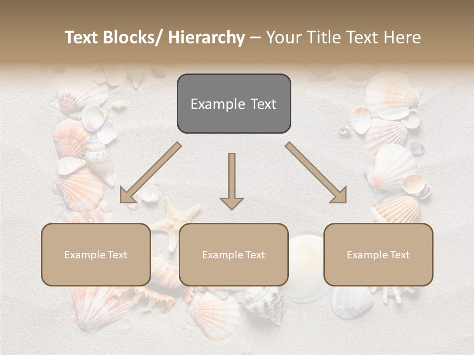 Sandy Abstract Shell PowerPoint Template