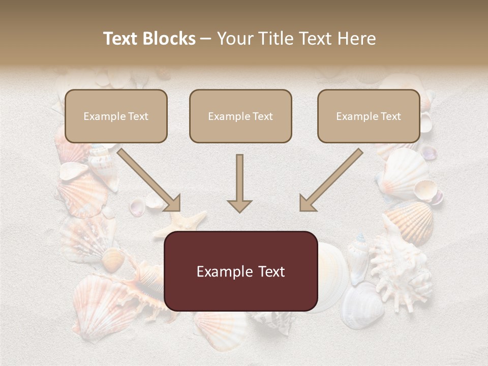Sandy Abstract Shell PowerPoint Template