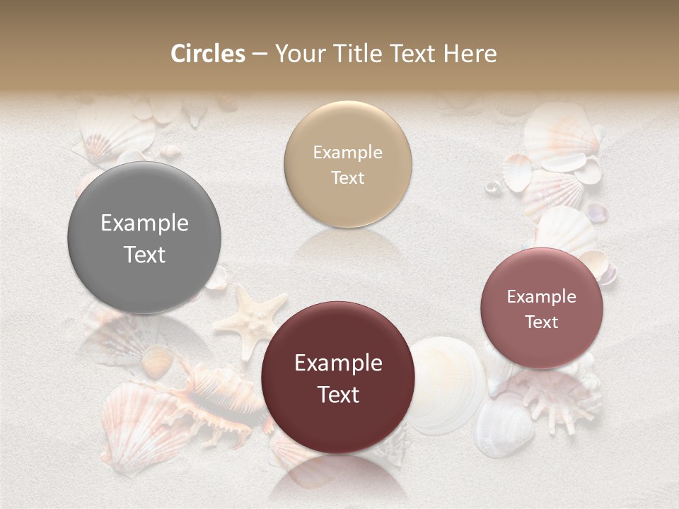 Sandy Abstract Shell PowerPoint Template