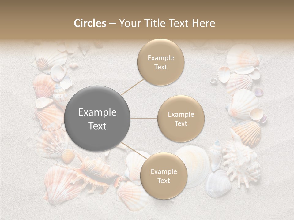 Sandy Abstract Shell PowerPoint Template