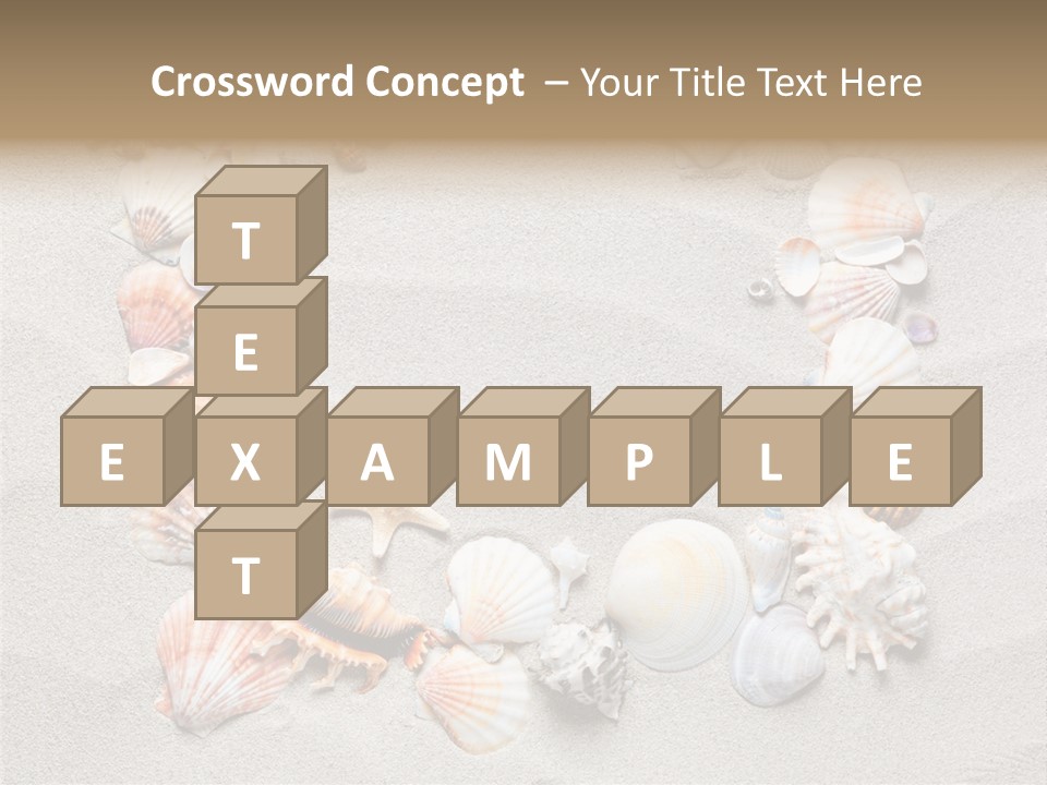 Sandy Abstract Shell PowerPoint Template