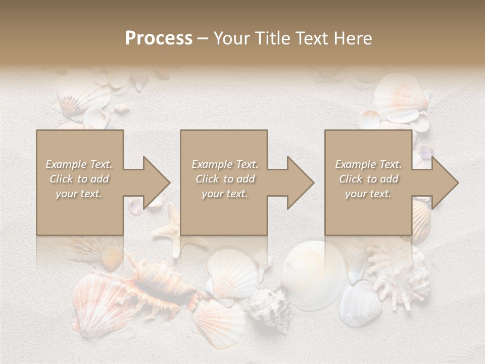 Sandy Abstract Shell PowerPoint Template
