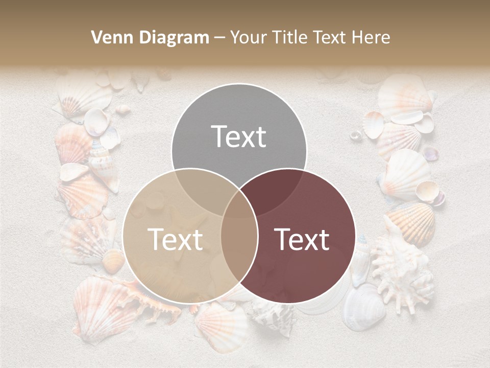 Sandy Abstract Shell PowerPoint Template