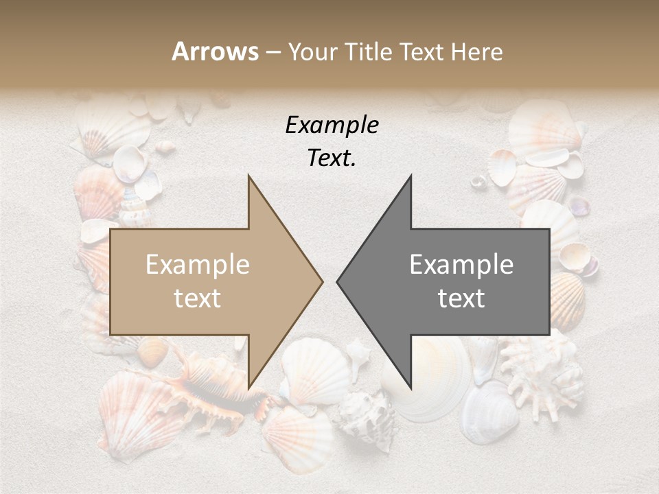 Sandy Abstract Shell PowerPoint Template