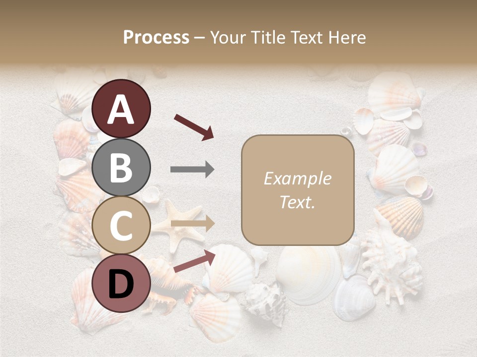 Sandy Abstract Shell PowerPoint Template