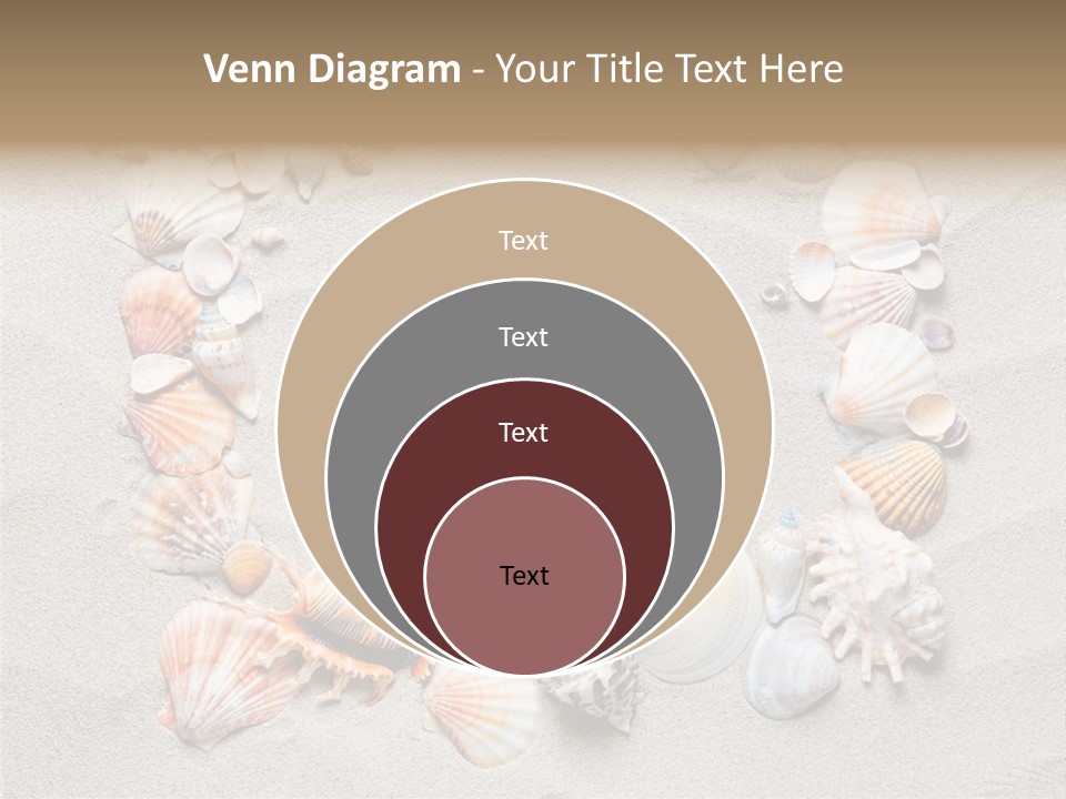 Sandy Abstract Shell PowerPoint Template