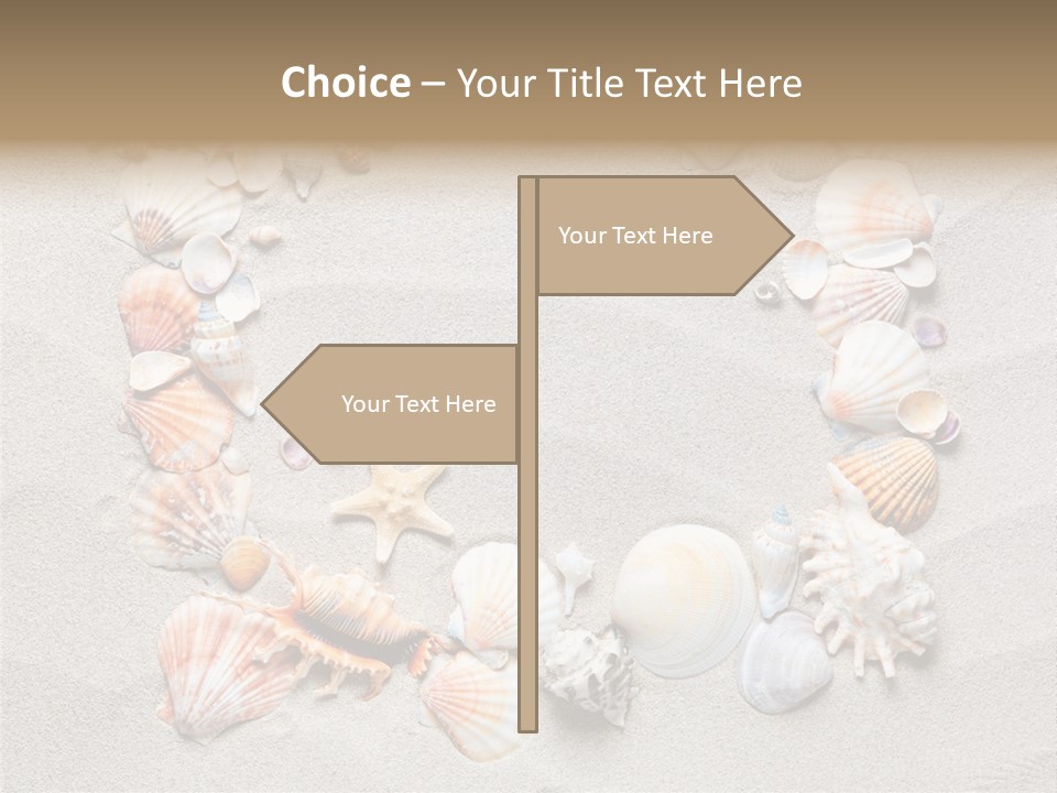 Sandy Abstract Shell PowerPoint Template