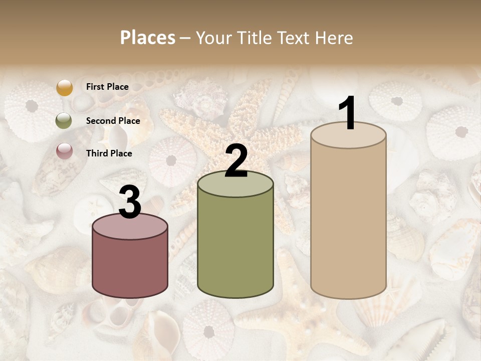 Seashell Summer Strand PowerPoint Template