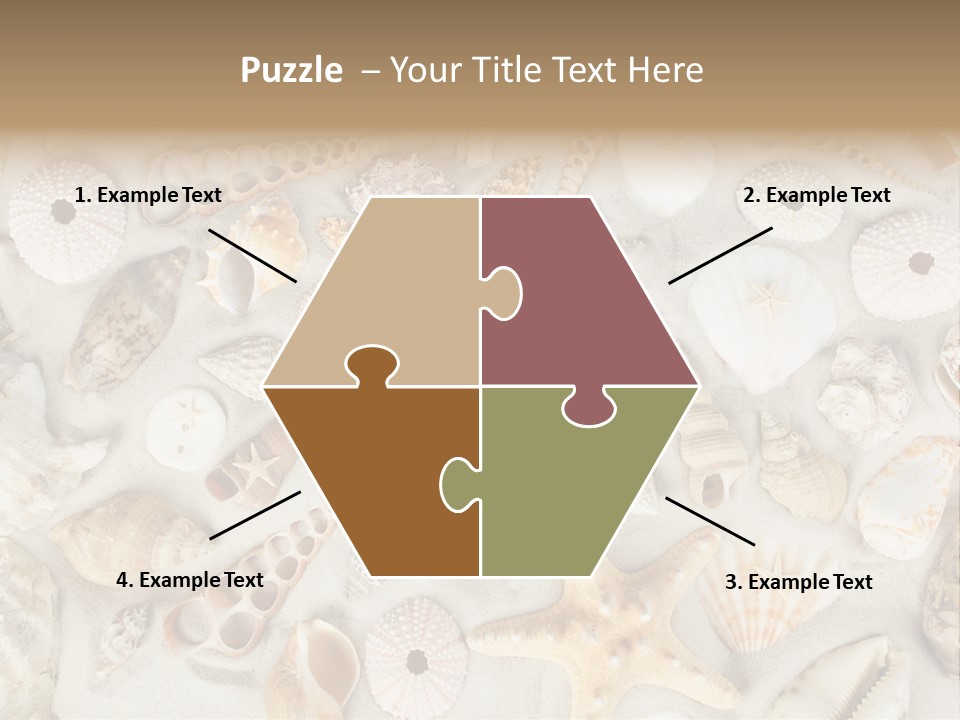 Seashell Summer Strand PowerPoint Template