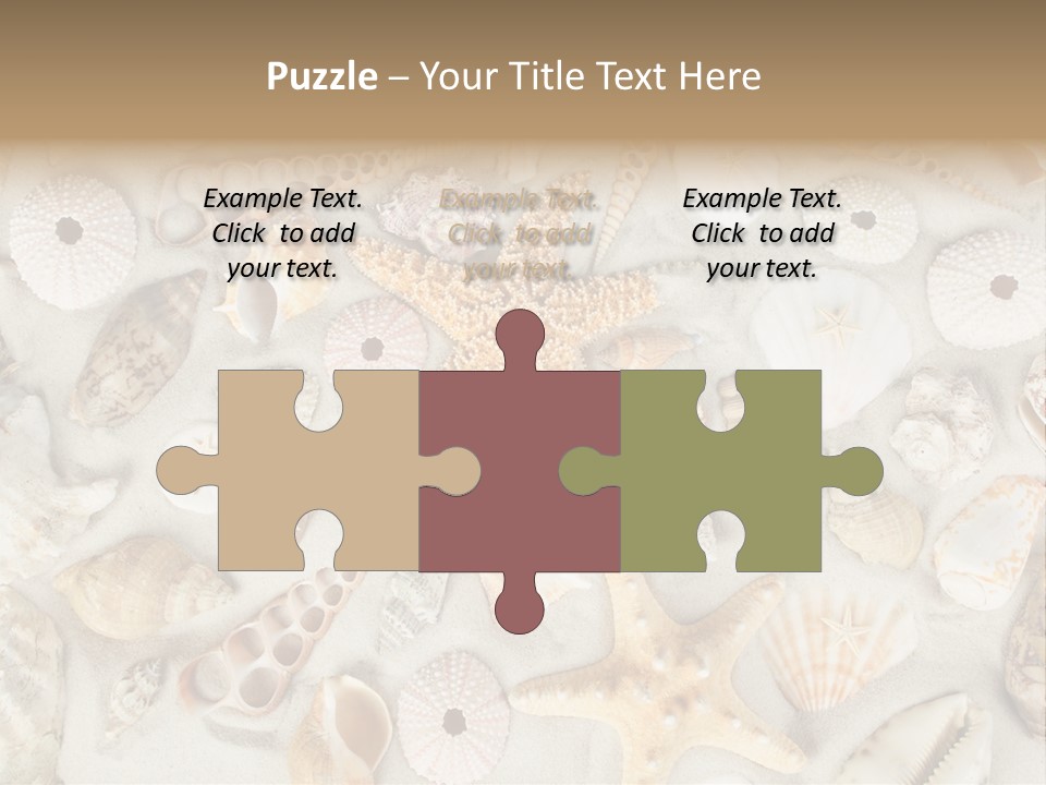 Seashell Summer Strand PowerPoint Template