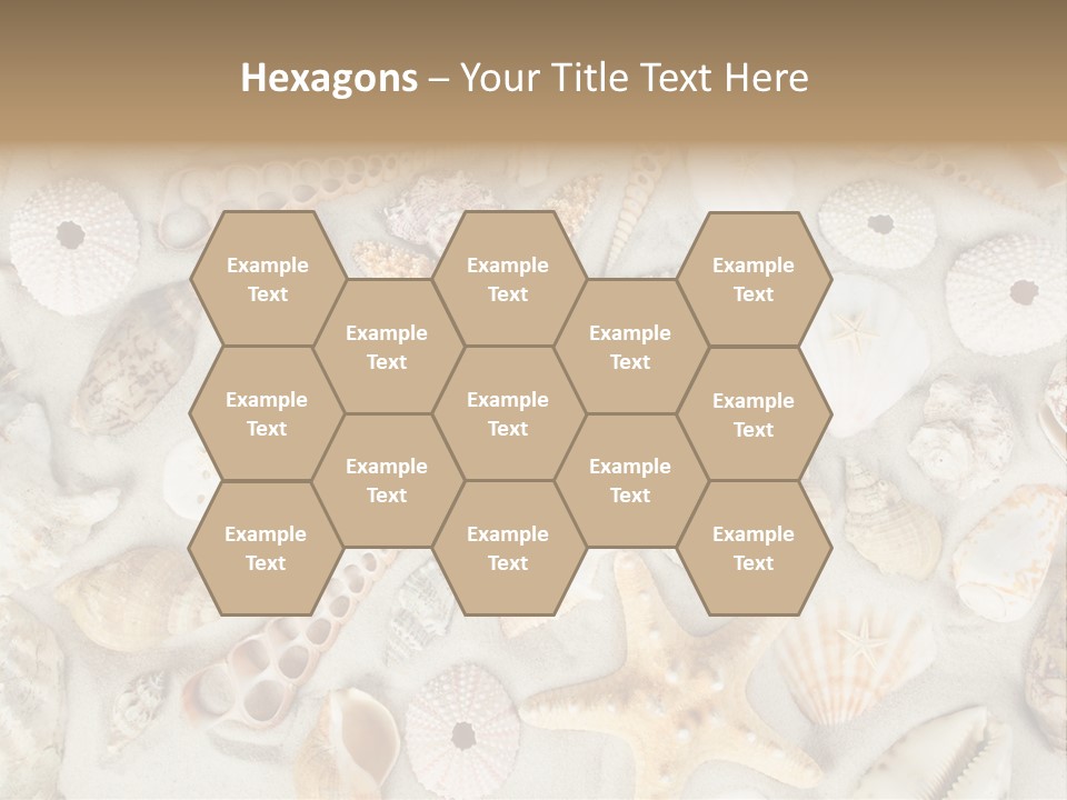 Seashell Summer Strand PowerPoint Template