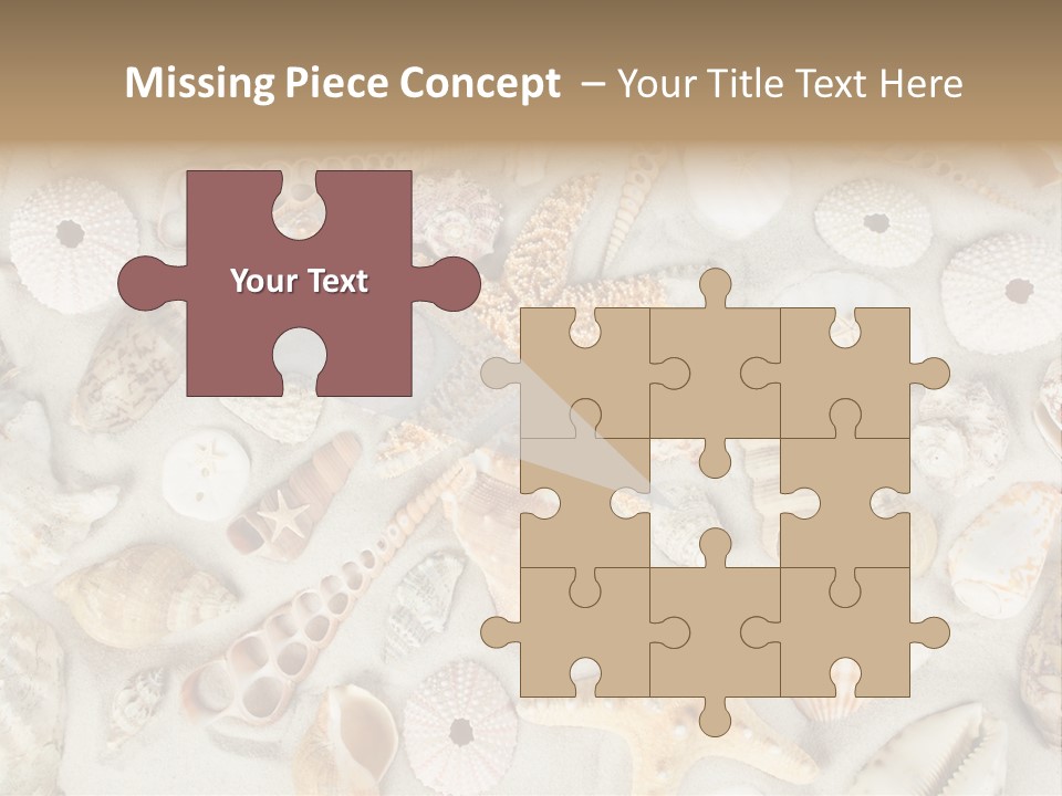 Seashell Summer Strand PowerPoint Template