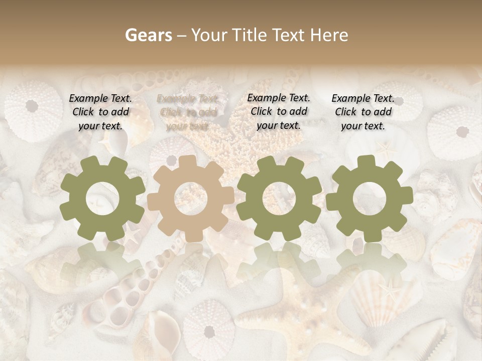 Seashell Summer Strand PowerPoint Template