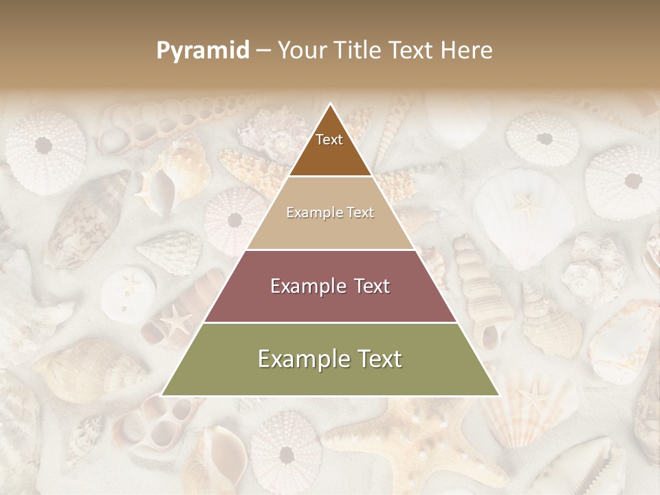 Seashell Summer Strand PowerPoint Template