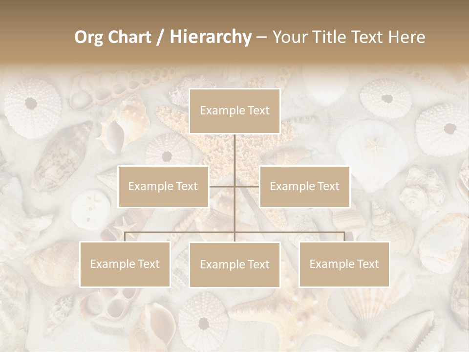 Seashell Summer Strand PowerPoint Template