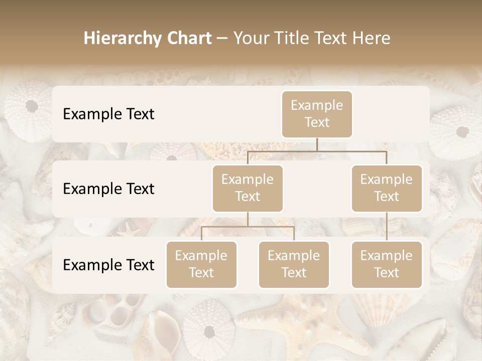 Seashell Summer Strand PowerPoint Template