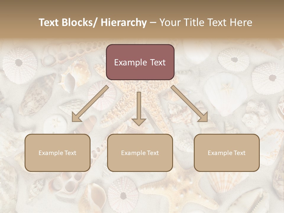 Seashell Summer Strand PowerPoint Template