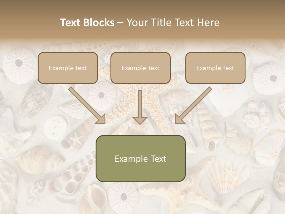 Seashell Summer Strand PowerPoint Template