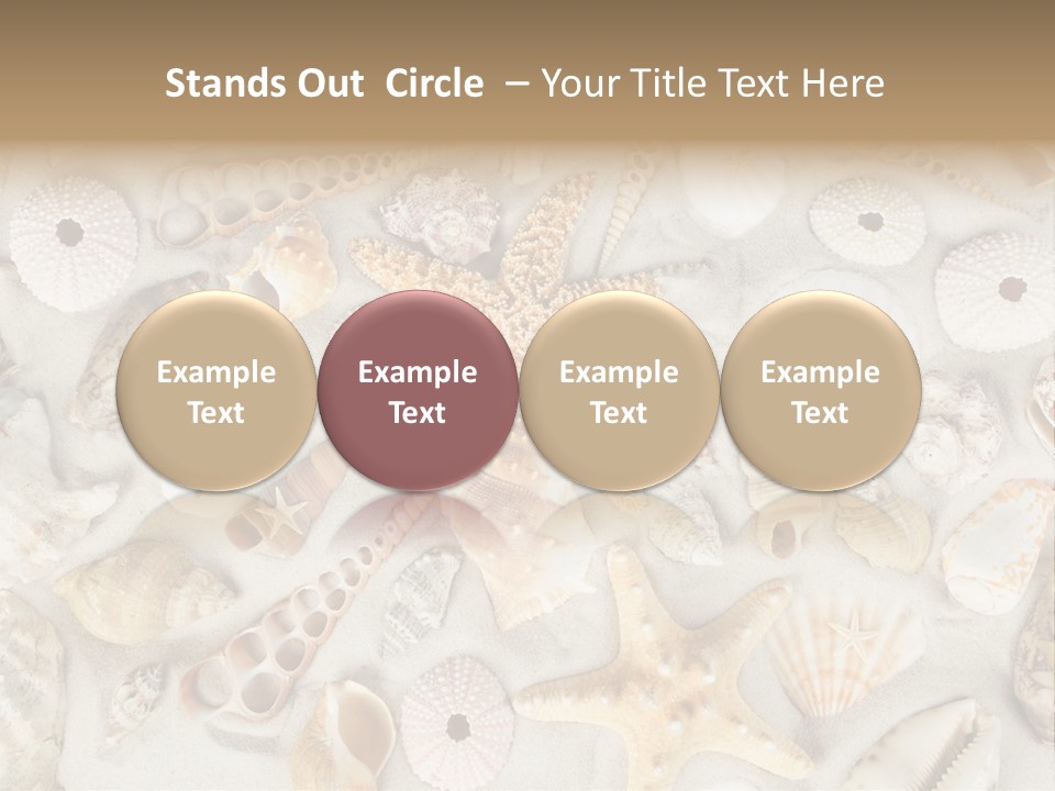 Seashell Summer Strand PowerPoint Template