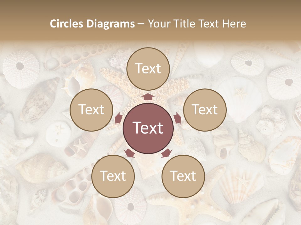 Seashell Summer Strand PowerPoint Template