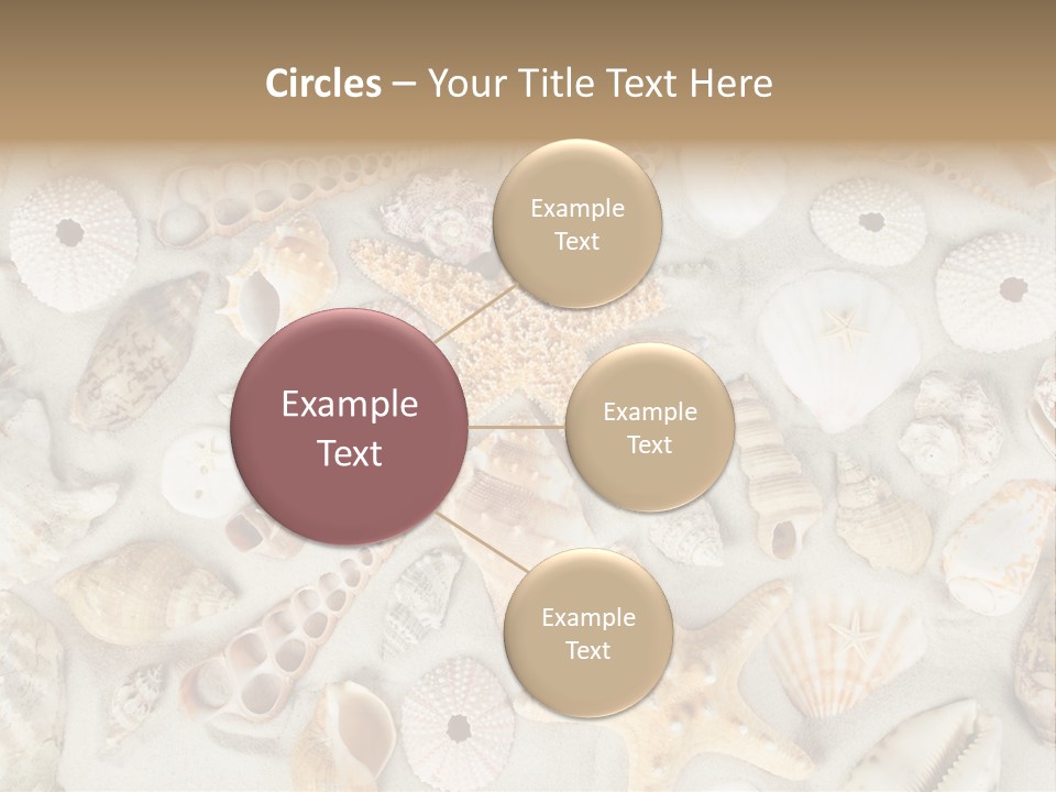 Seashell Summer Strand PowerPoint Template