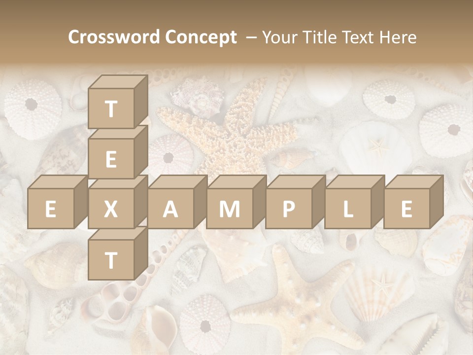 Seashell Summer Strand PowerPoint Template
