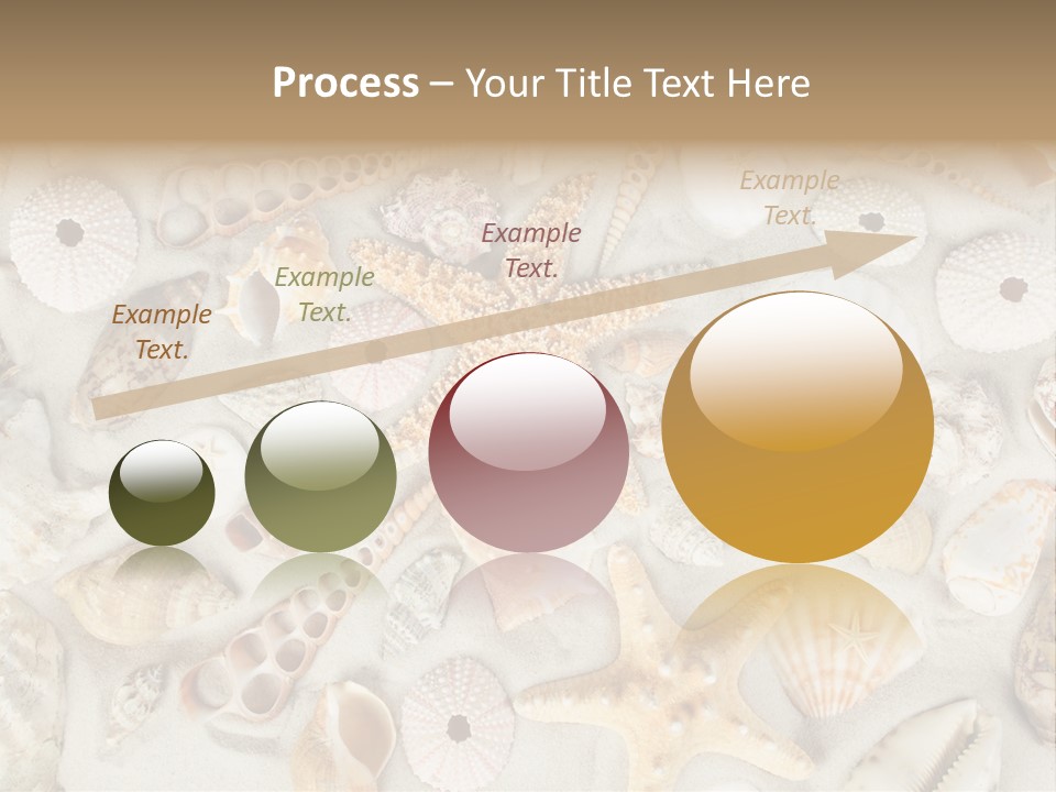 Seashell Summer Strand PowerPoint Template