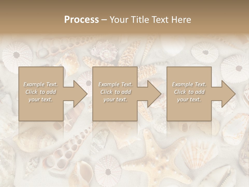 Seashell Summer Strand PowerPoint Template