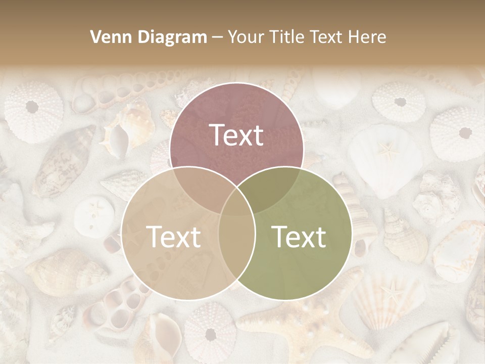 Seashell Summer Strand PowerPoint Template