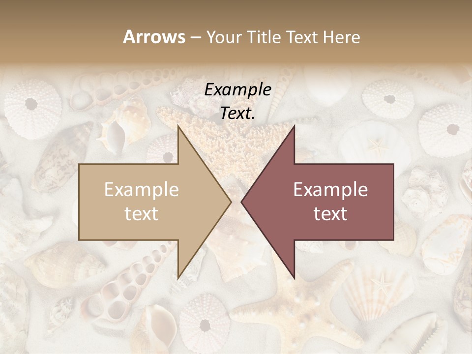 Seashell Summer Strand PowerPoint Template