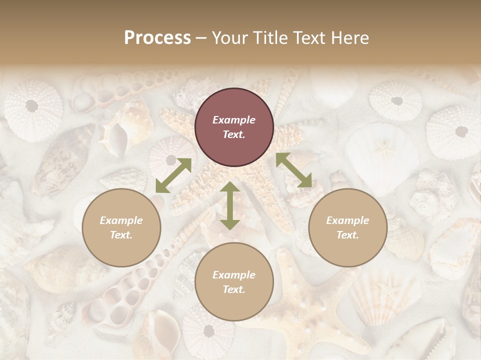 Seashell Summer Strand PowerPoint Template