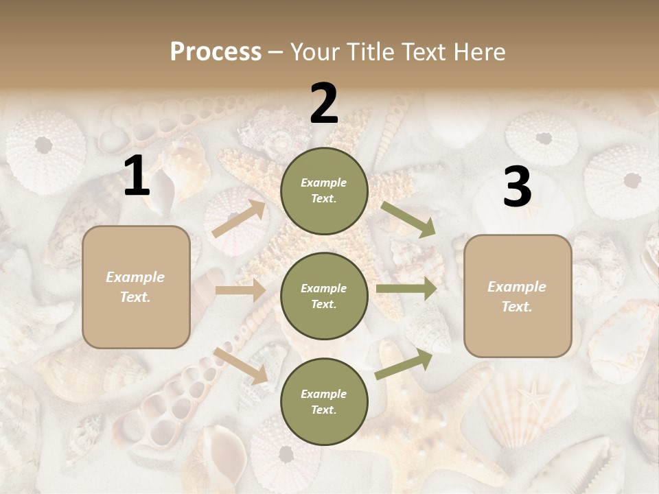 Seashell Summer Strand PowerPoint Template