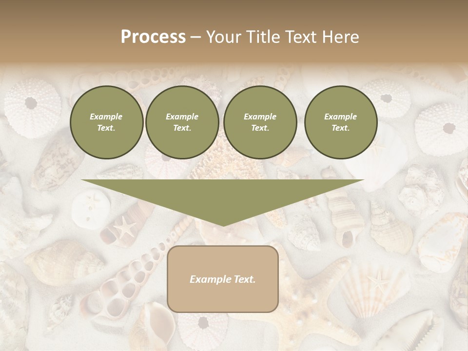 Seashell Summer Strand PowerPoint Template