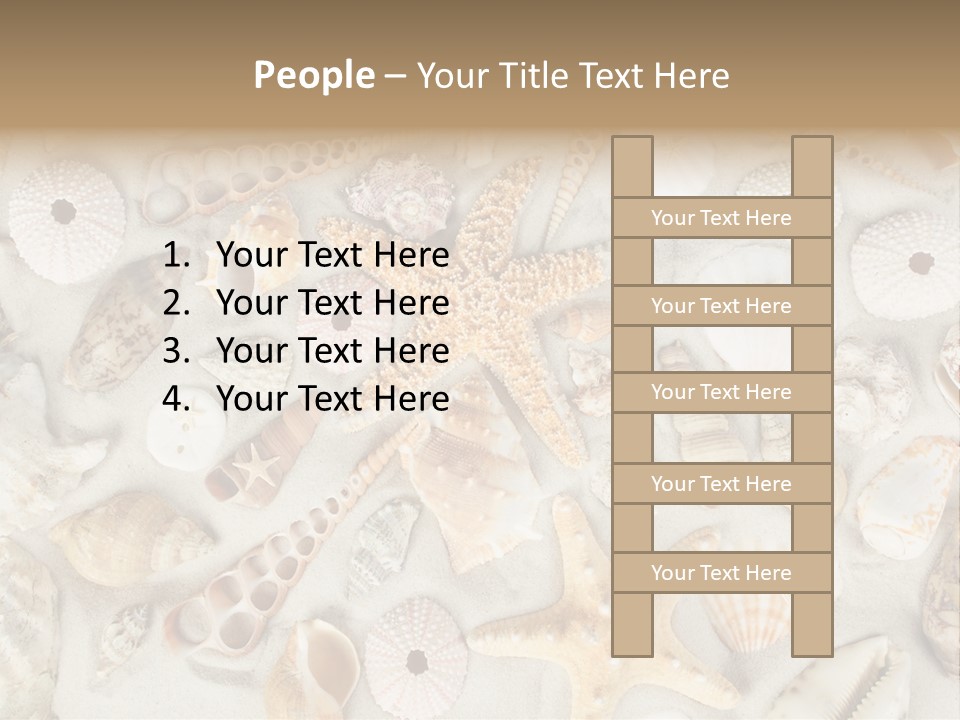 Seashell Summer Strand PowerPoint Template