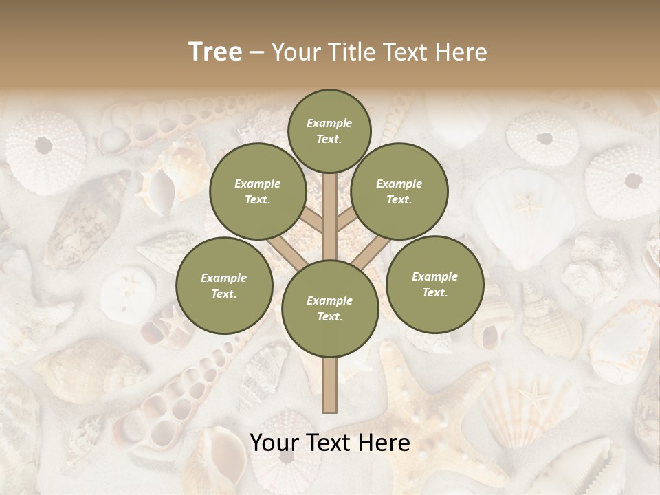 Seashell Summer Strand PowerPoint Template