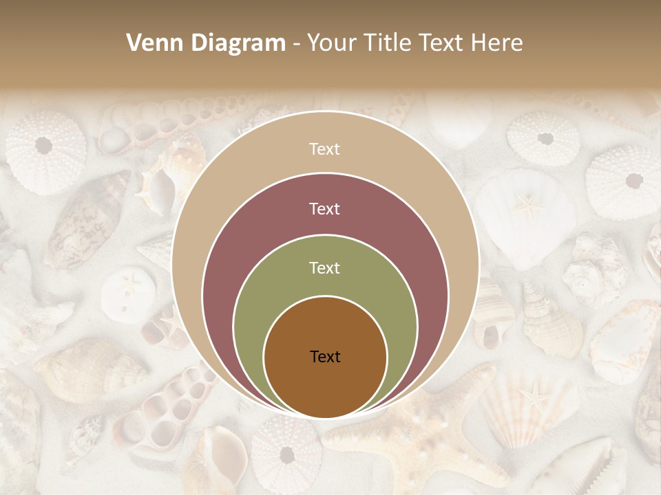 Seashell Summer Strand PowerPoint Template
