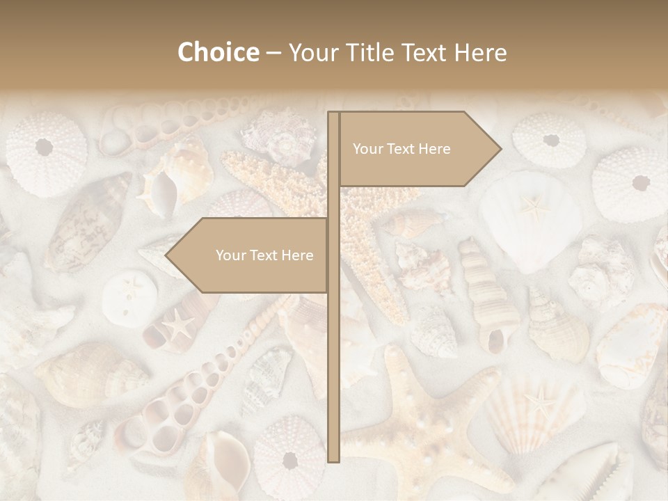 Seashell Summer Strand PowerPoint Template