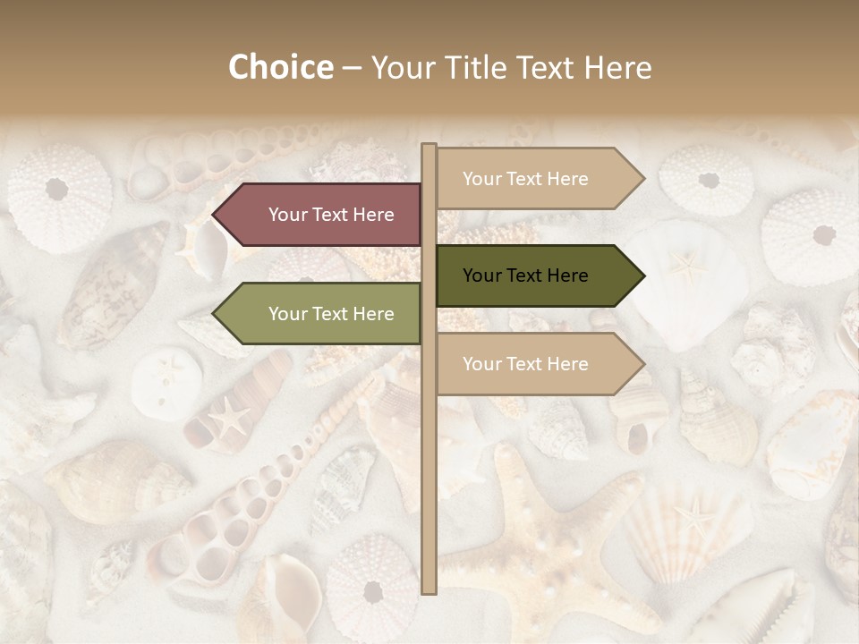 Seashell Summer Strand PowerPoint Template