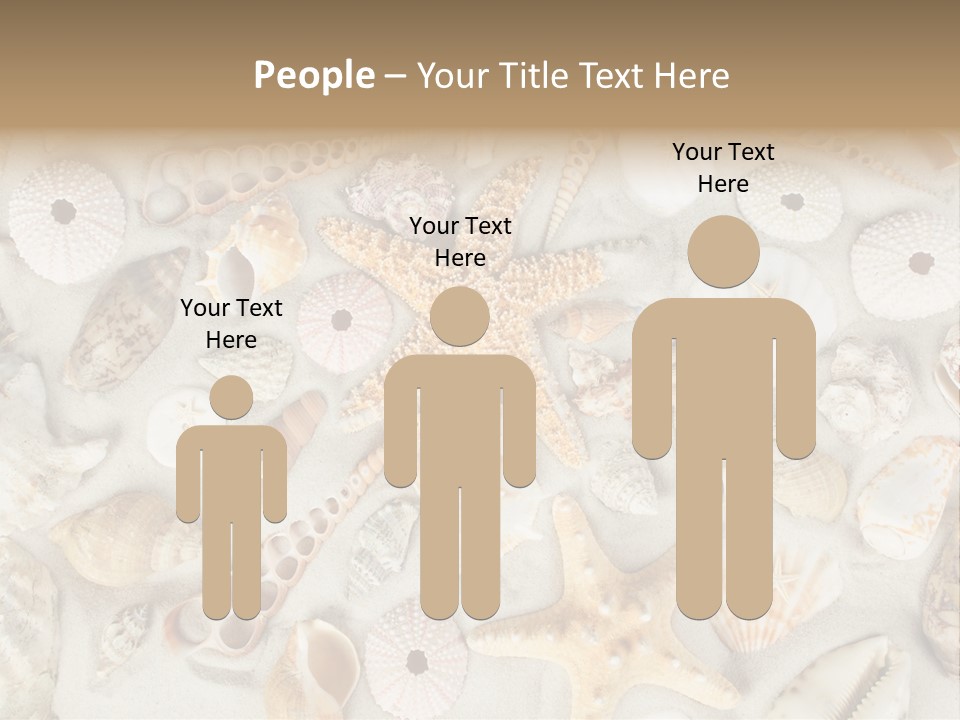 Seashell Summer Strand PowerPoint Template