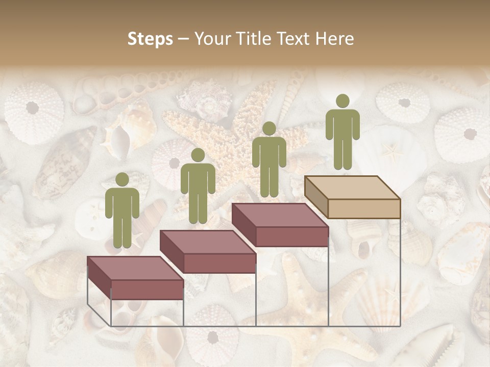 Seashell Summer Strand PowerPoint Template