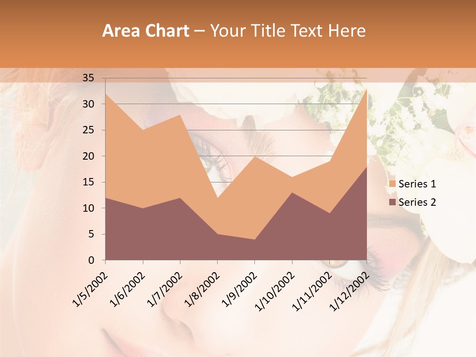 Visage Esth Coiffure PowerPoint Template