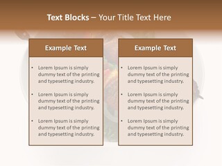 Lamb Kebab Skewer PowerPoint Template