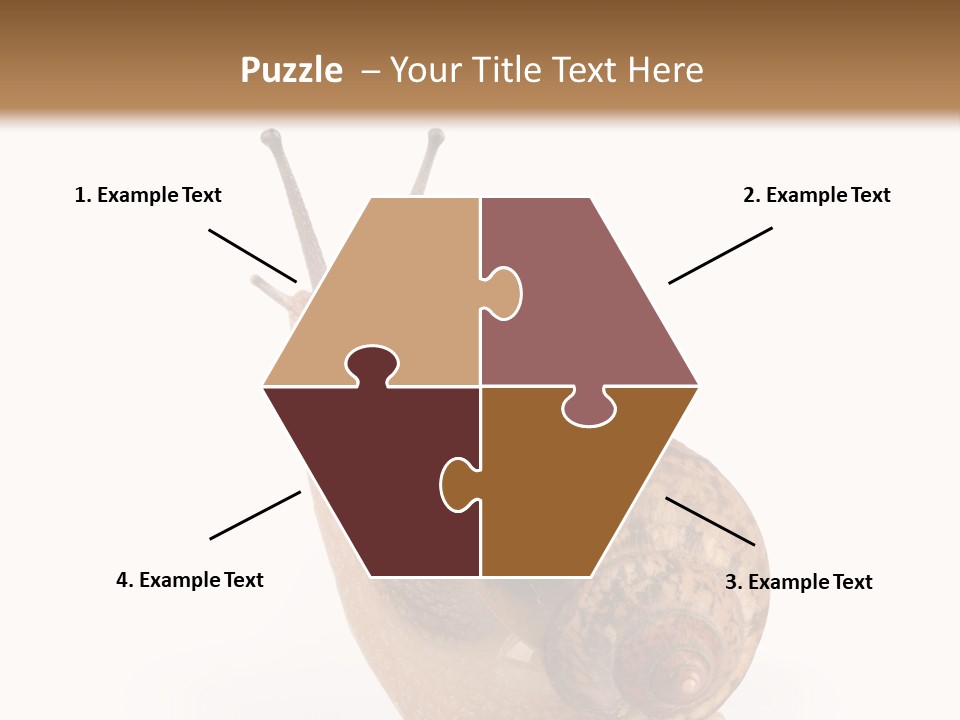 Closeup Sticky Wonderful PowerPoint Template