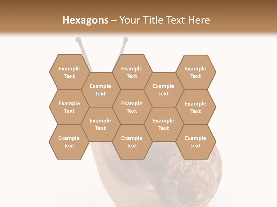 Closeup Sticky Wonderful PowerPoint Template