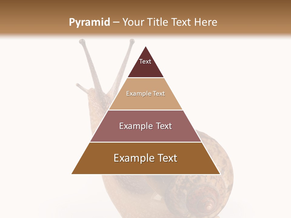 Closeup Sticky Wonderful PowerPoint Template