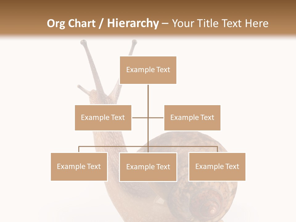 Closeup Sticky Wonderful PowerPoint Template