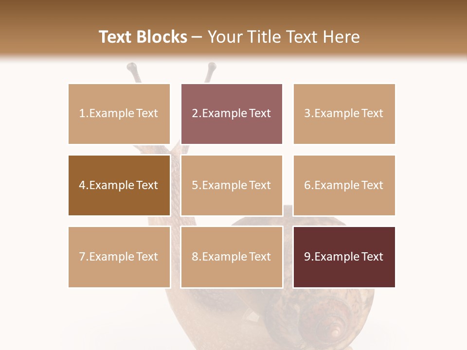 Closeup Sticky Wonderful PowerPoint Template