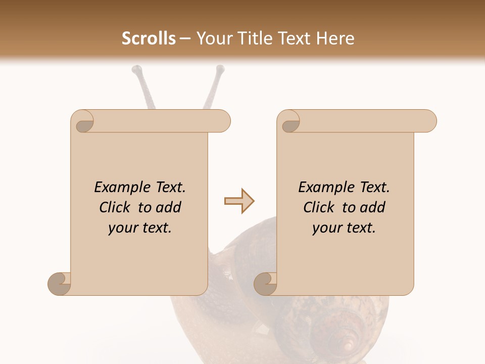 Closeup Sticky Wonderful PowerPoint Template